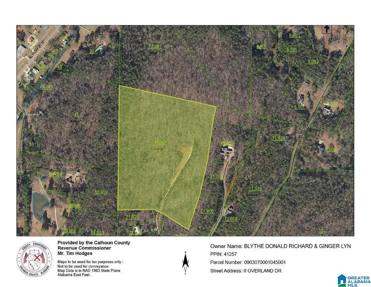 208 OVERLAND DRIVE, Piedmont, AL 36272 - #1
