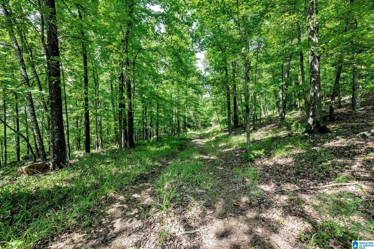 140 HAMPTON LAKE DRIVE, Pelham, AL 35124 - #1
