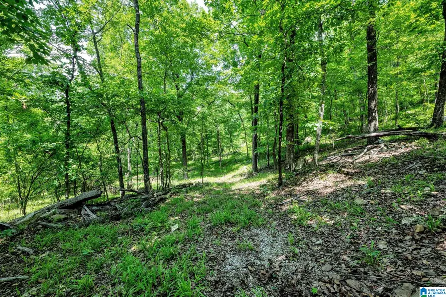 140 HAMPTON LAKE DRIVE, Pelham, AL 35124 - #2