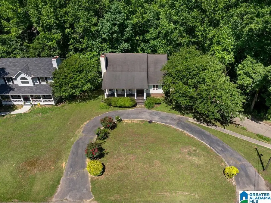 5950 SWANN ROAD, Mount Olive, AL 35117 - #3