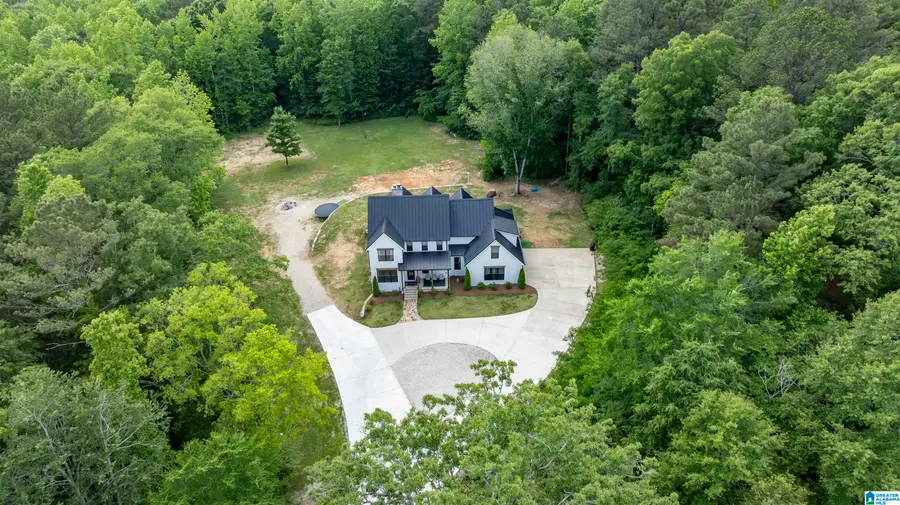 6948 HAPPY HOLLOW ROAD, Trussville, AL 35173 - #3
