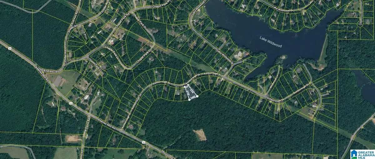 Lot 117 ASHBOROUGH DRIVE, Cottondale, AL 35453 - #1