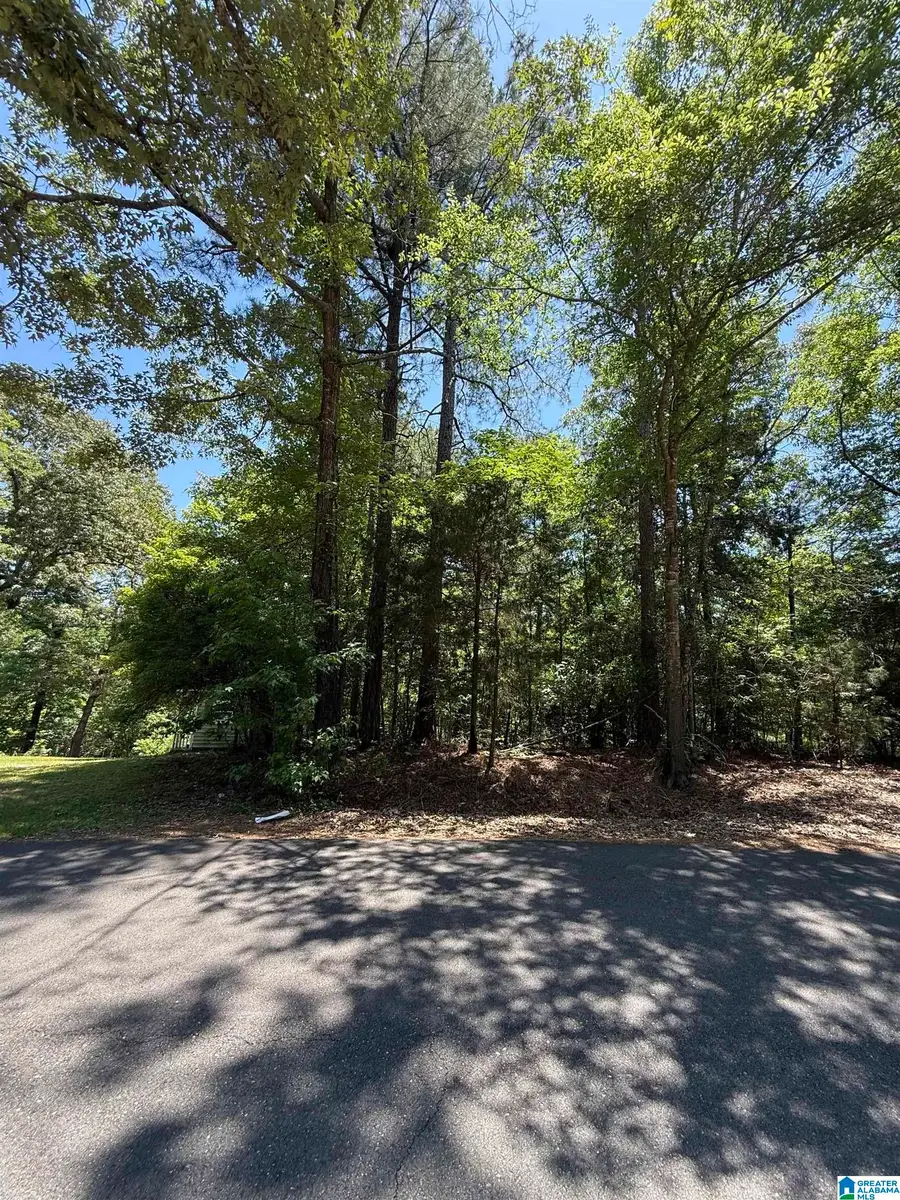 Lot 117 ASHBOROUGH DRIVE, Cottondale, AL 35453 - #2