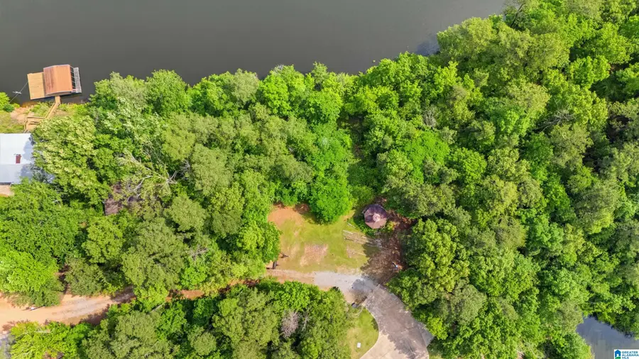 0 COUNTY ROAD 188, Clanton, AL 35046 - #3