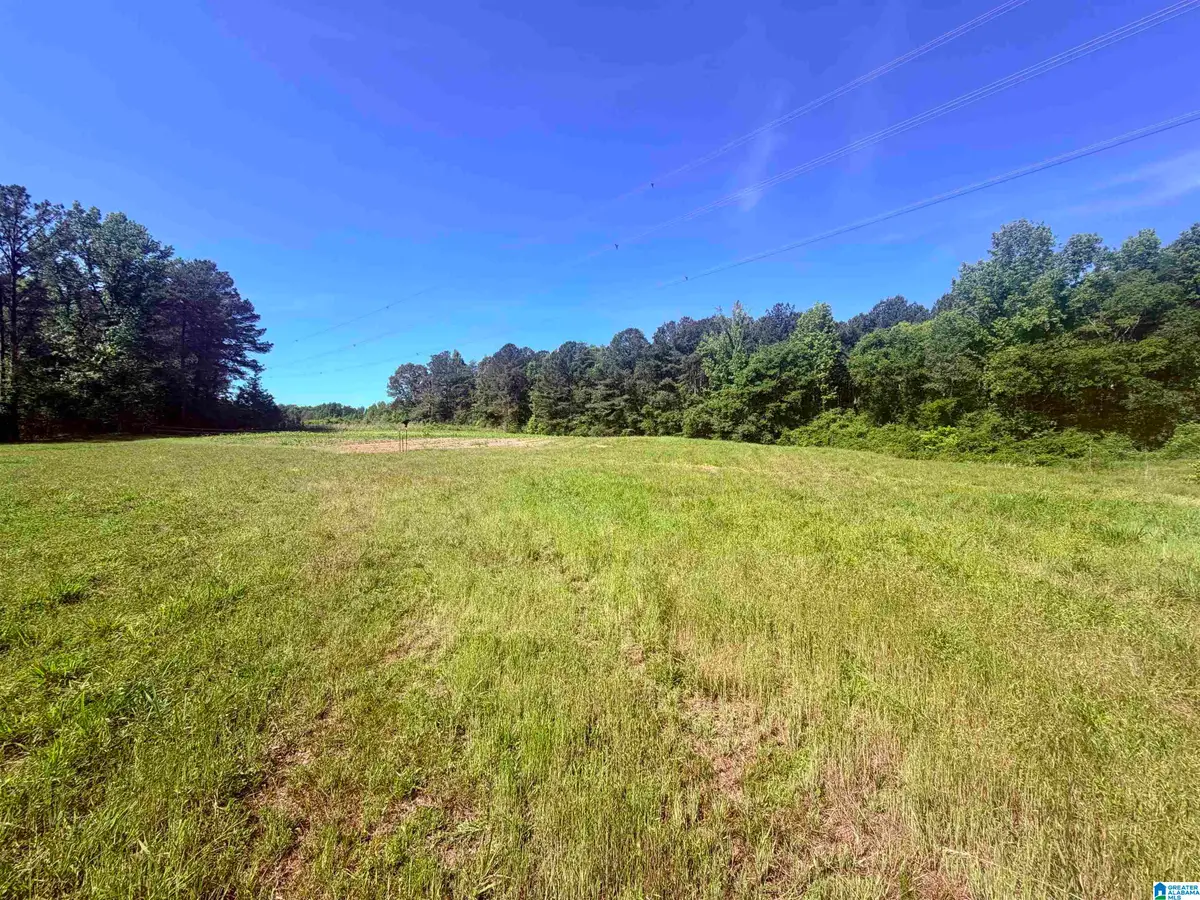 0 HIDDEN LAKE DRIVE, Empire, AL 35063 - #1