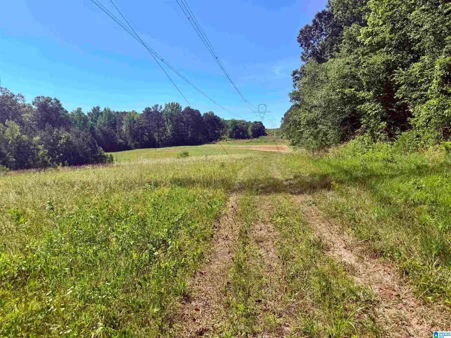 0 HIDDEN LAKE DRIVE, Empire, AL 35063 - #3