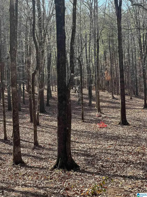 522 RONBAR ROAD, Columbiana, AL 35051