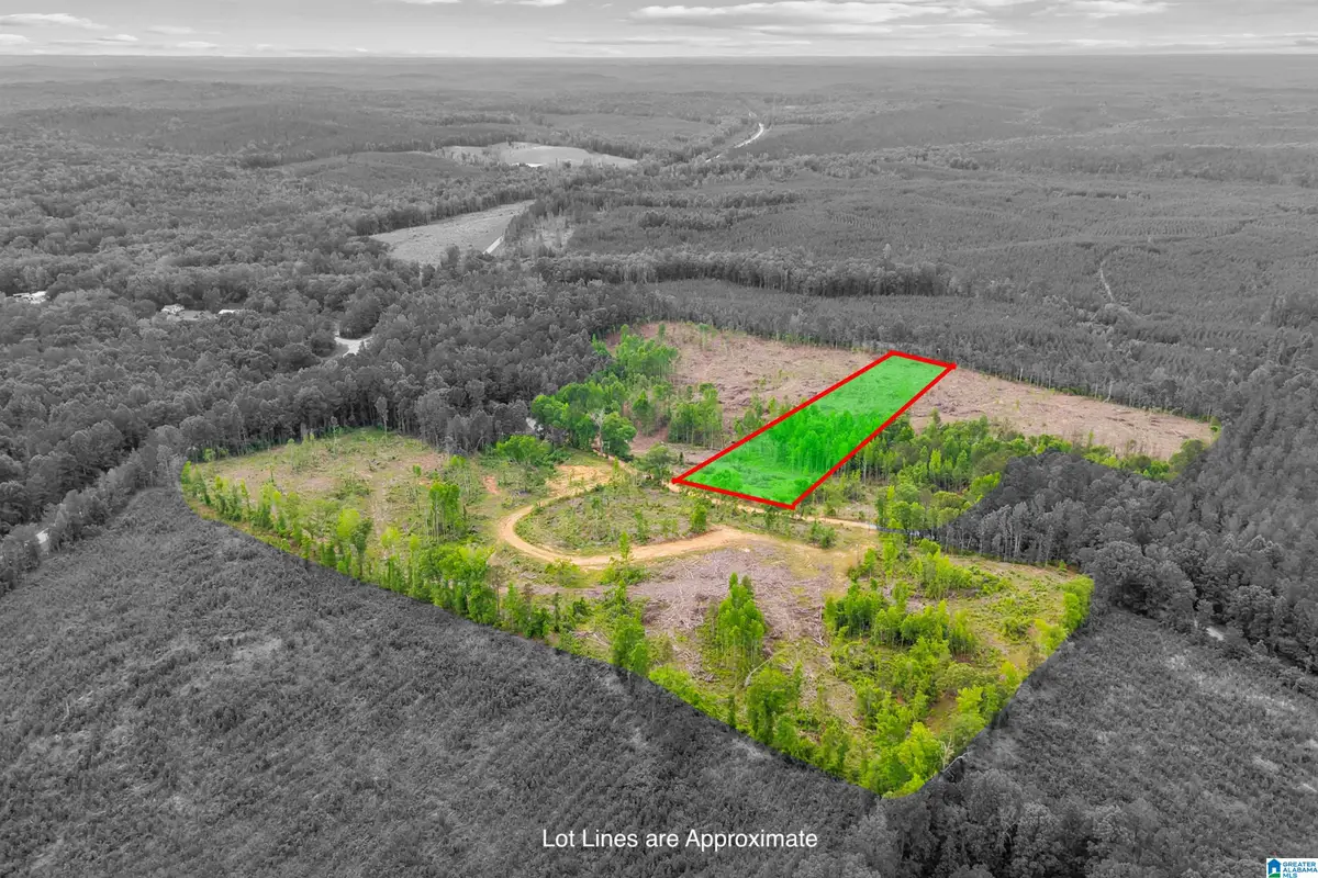 ACTIVE ROAD, Lawley, AL 36793 - #1