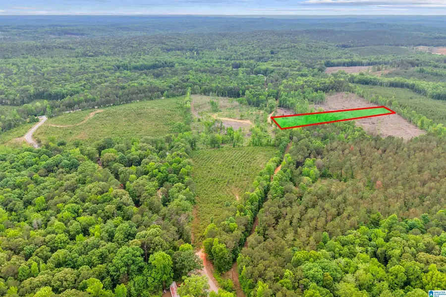 ACTIVE ROAD, Lawley, AL 36793 - #3