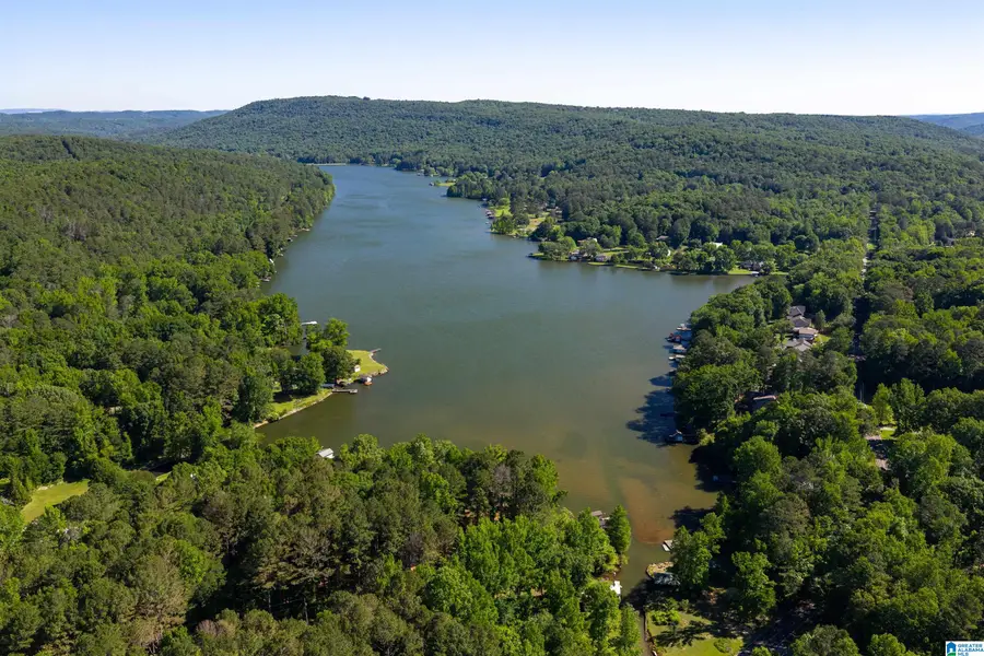 8030 EMERALD LAKE DRIVE W, Pinson, AL 35126 - #3