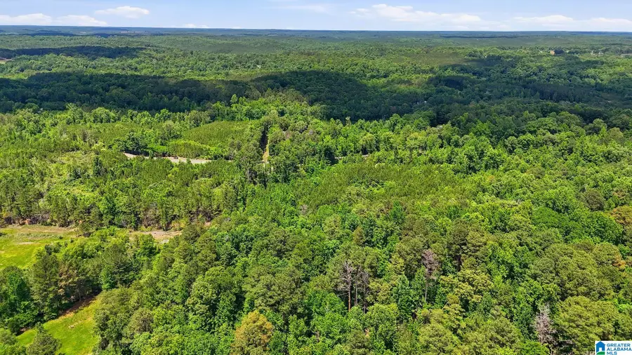 851 OLD BANKHEAD HIGHWAY, Cordova, AL 35550 - #2