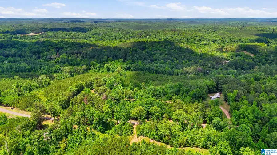 851 OLD BANKHEAD HIGHWAY, Cordova, AL 35550 - #3