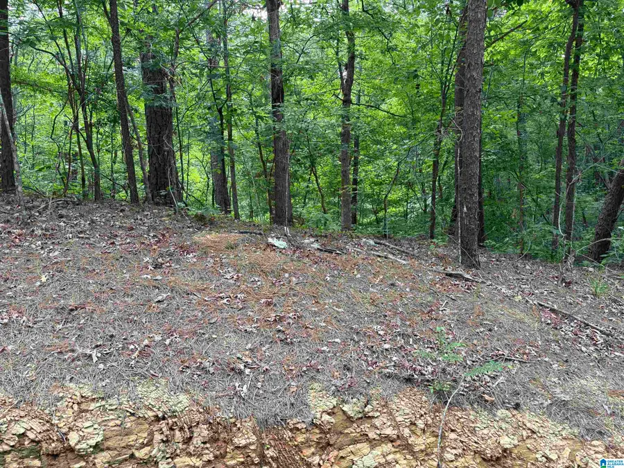 Lot 23 TEDDY DRIVE, McCalla, AL 35111 - #2