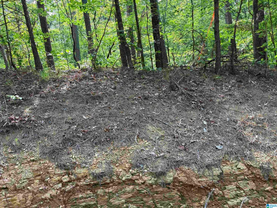 Lot 23 TEDDY DRIVE, McCalla, AL 35111 - #3