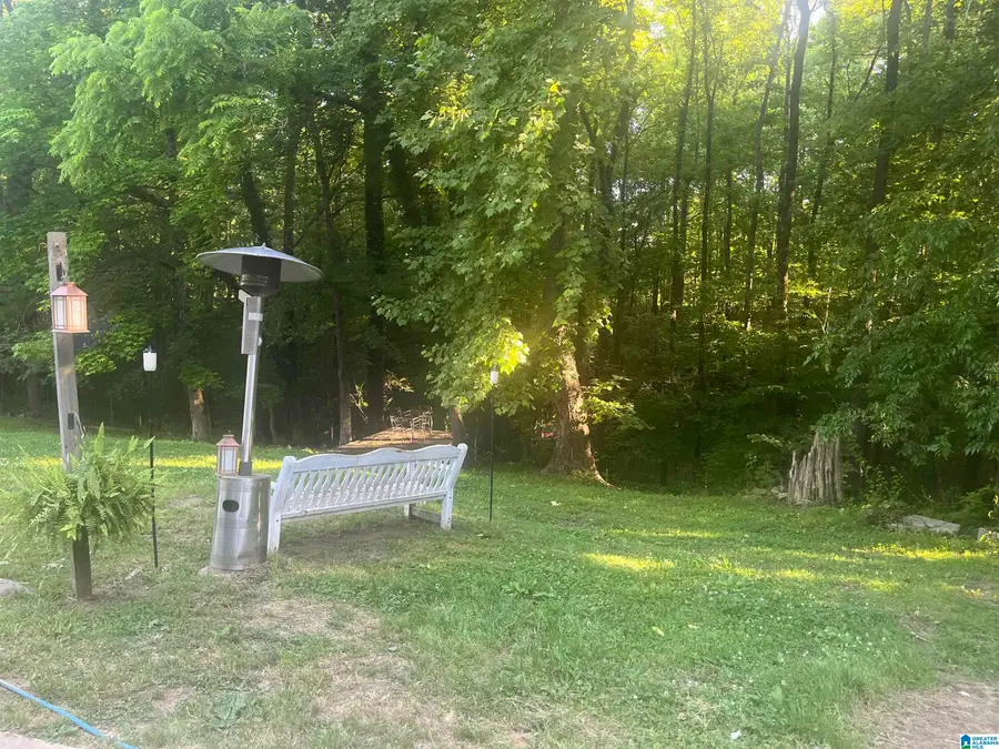 1865 SANIE ROAD, Odenville, AL 35120 - #3