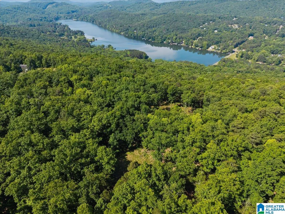 8924 PINE MOUNTAIN ROAD, Pinson, AL 35126 - #1