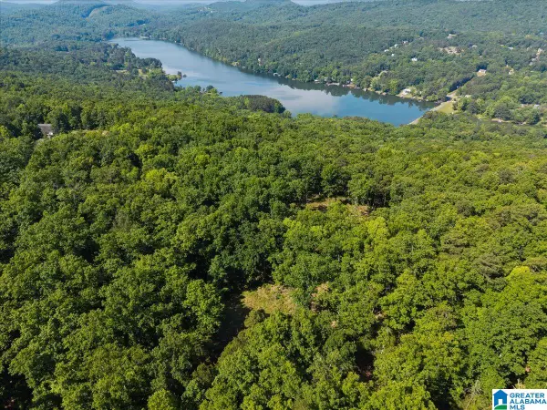 8924 PINE MOUNTAIN ROAD, Pinson, AL 35126