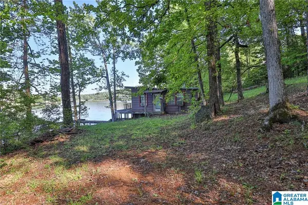 Lot 736 Lee Rd COUNTY ROAD 899, Salem, AL 36874