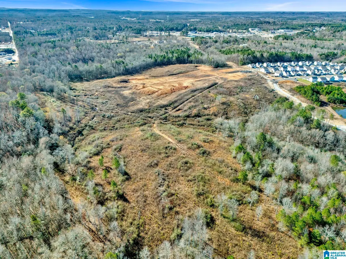 BLACKWELL DAIRY ROAD, Jasper, AL 35504 - #1