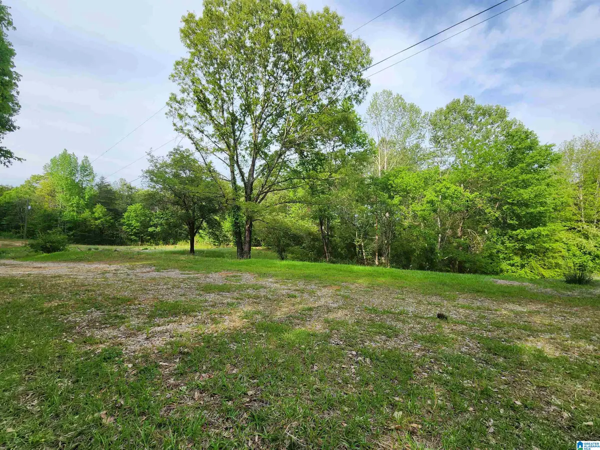 2213 MORRIS MAJESTIC ROAD, Morris, AL 35116 - #1