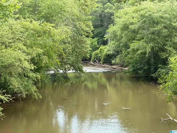 0 COUNTY ROAD 509, Woodland, AL 36280