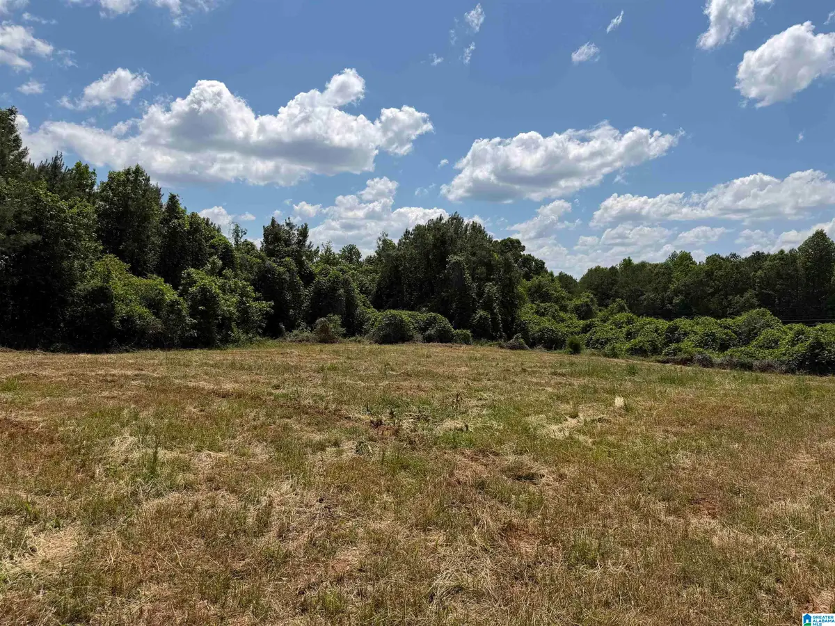 0 COUNTY ROAD 87, Roanoke, AL 36274 - #1