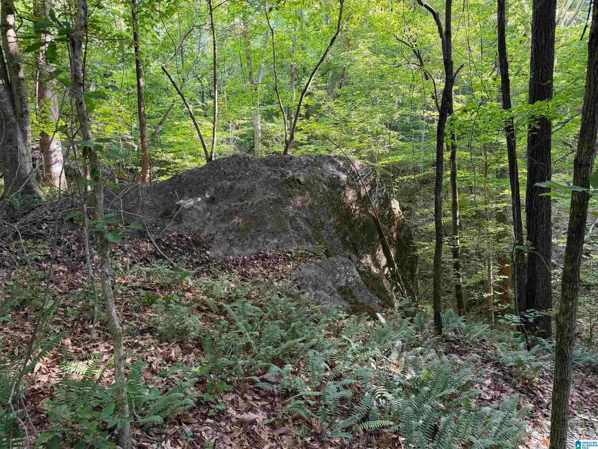 0 COUNTY ROAD 87, Roanoke, AL 36274 - #1