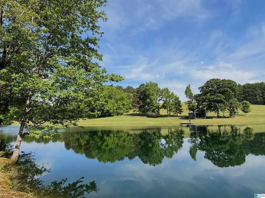 5145 PINE MOUNTAIN ROAD, Remlap, AL 35133 - #3