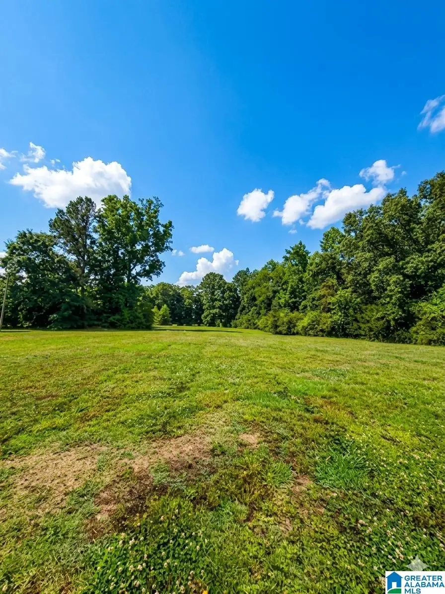 205 PARKWOOD DRIVE, Ohatchee, AL 36271 - #3