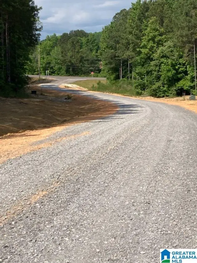 100 CRESCENT COURT, Odenville, AL 35120 - #2