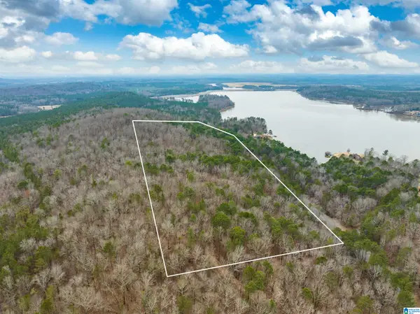 34 Acres- Mtn CONSTELLATION DRIVE, Alpine, AL 35014