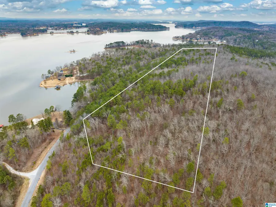 34 Acres- Mtn CONSTELLATION DRIVE, Alpine, AL 35014 - #2