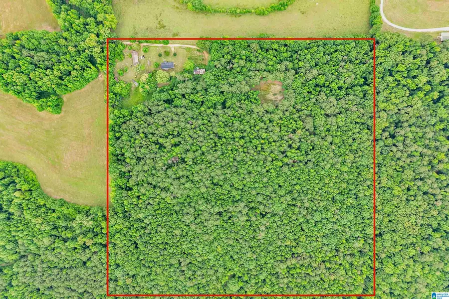 306 CRYSTAL DRIVE, Lawley, AL 36793 - #2