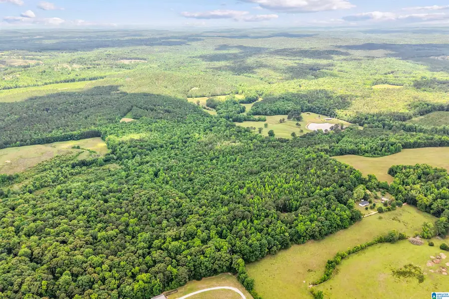 306 CRYSTAL DRIVE, Lawley, AL 36793 - #3