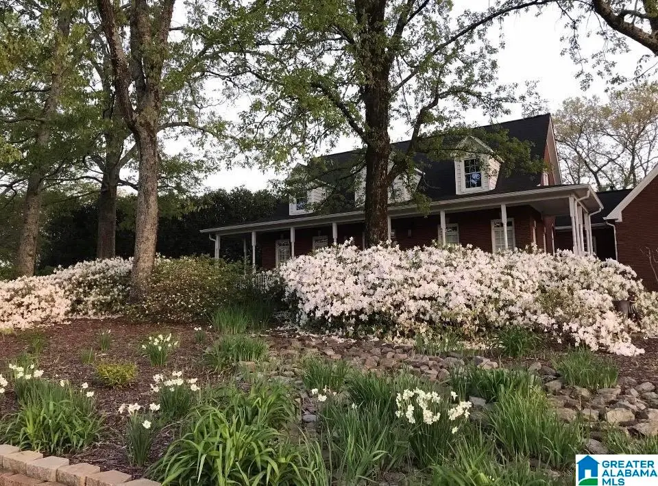 399 MACDONALD LAKE ROAD, Springville, AL 35146 - #1