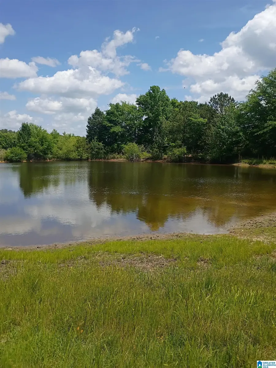 3664 JOE LEE ROAD, Talladega, AL 35160 - #3
