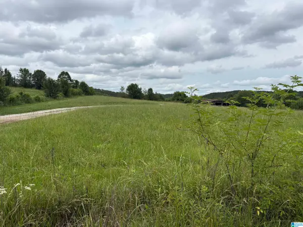 0 COUNTY HIGHWAY 13, Cleveland, AL 35049