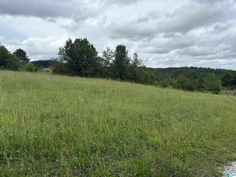 0 COUNTY HIGHWAY 13, Cleveland, AL 35049 - #2