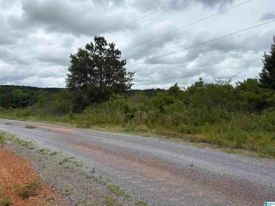 0 COUNTY HIGHWAY 13, Cleveland, AL 35049 - #3