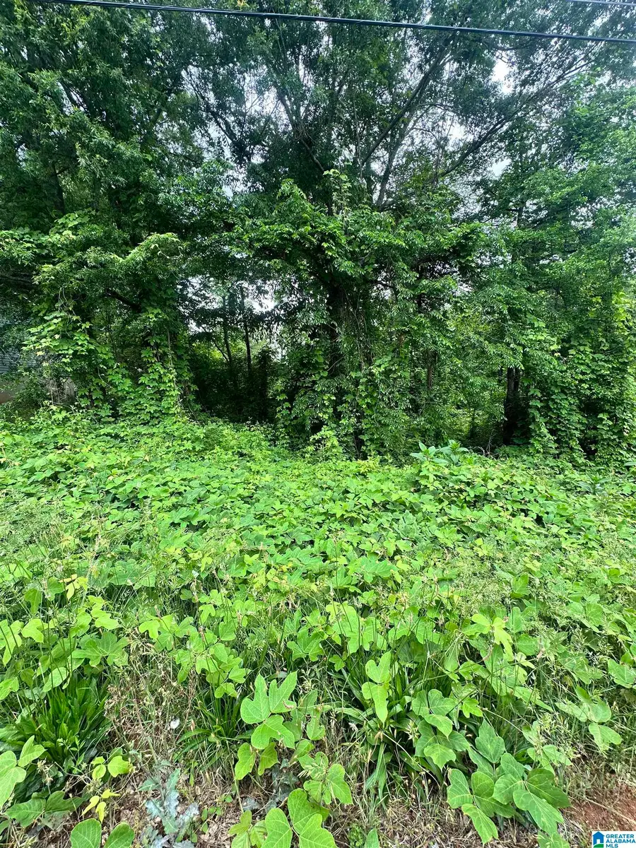 0 RIDGECREST DRIVE, Oxford, AL 36203 - #2