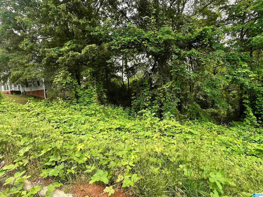 0 RIDGECREST DRIVE, Oxford, AL 36203 - #3