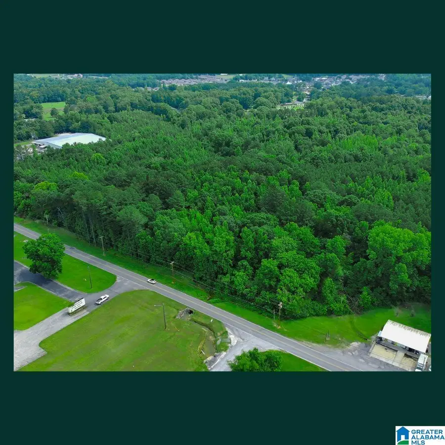 2311 3RD AVENUE SE, Cullman, AL 35055 - #3