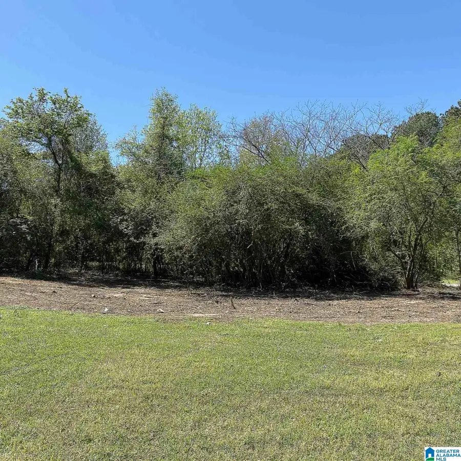 490 GREGORY ROAD, Jasper, AL 35503 - #2