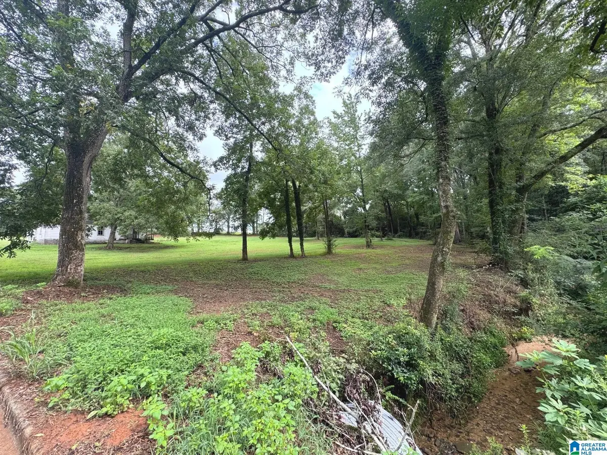 5TH AVENUE, Ashland, AL 36251 - #1