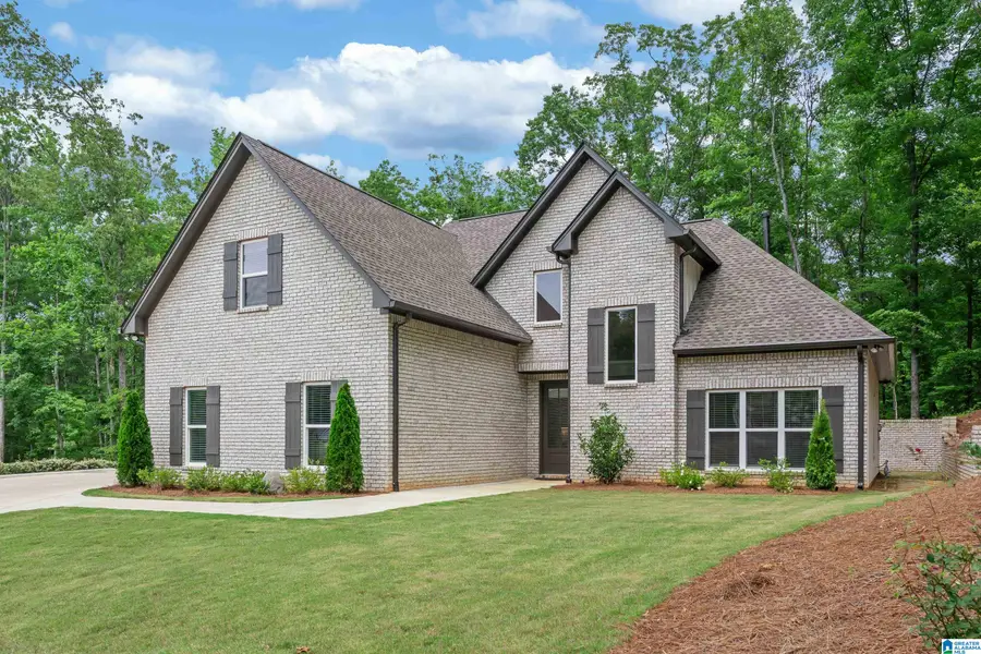 163 BRYNLEIGH DRIVE, Chelsea, AL 35043 - #2