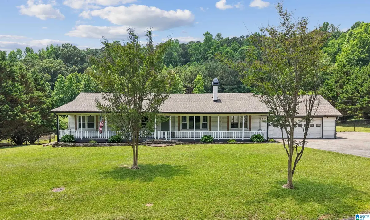 233 VILLAGE SPRINGS ROAD, Springville, AL 35146 - #1