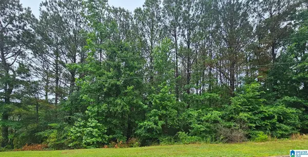 Lot  32 MAYNOR LANE, Oneonta, AL 35121