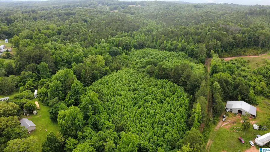 UNKN HIGHWAY 46, Heflin, AL 36264 - #2