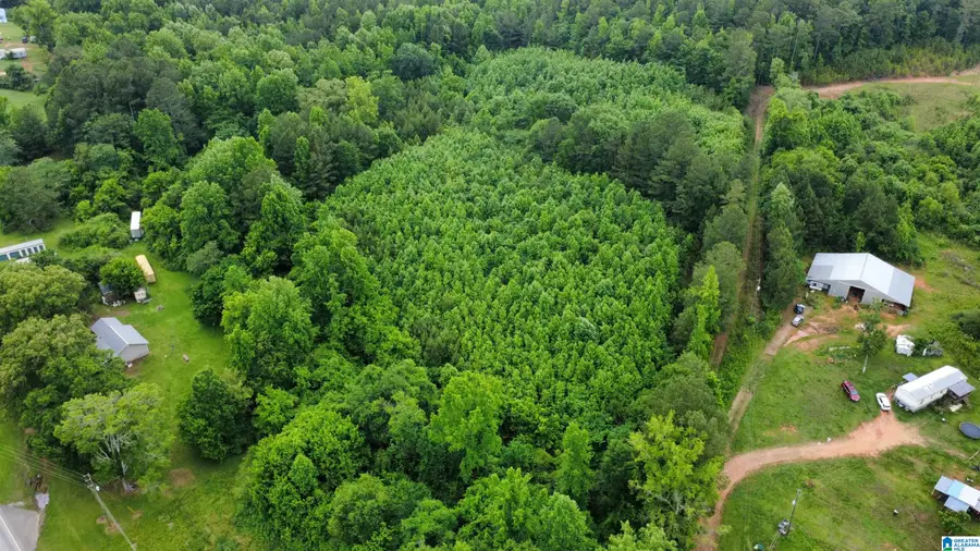 UNKN HIGHWAY 46, Heflin, AL 36264 - #3