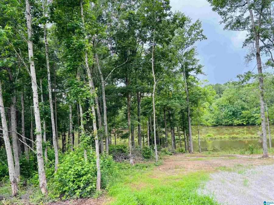Lot 8 COUNTY ROAD 499, Woodland, AL 36280 - #3